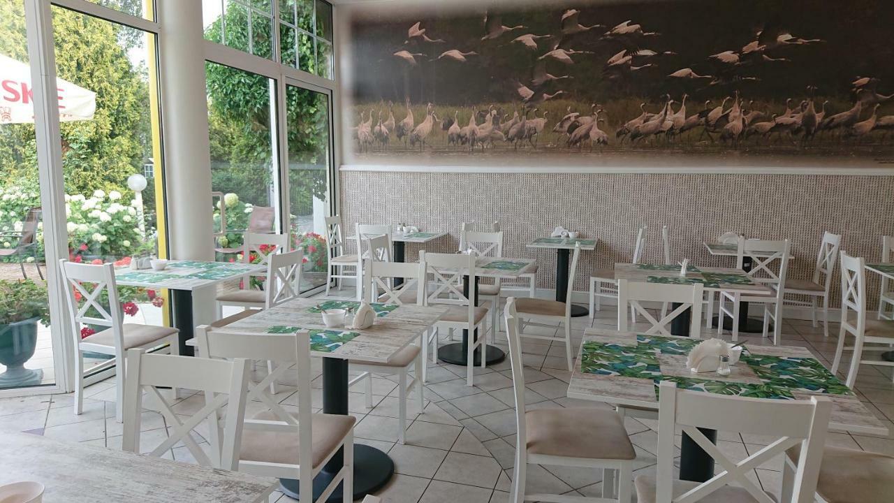 Damroka Acomodação com café da manhã Łeba Exterior foto